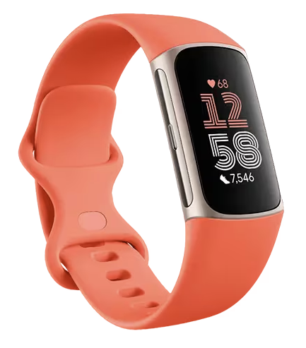 Fitbit Charge 6